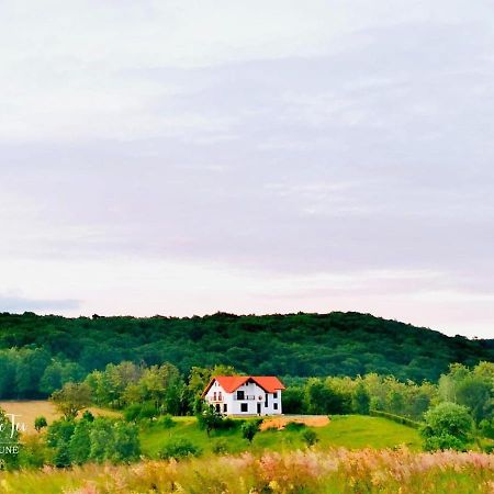 Agropensiunea Floare De Tei Carpinis (Baia Mare) Exterior foto