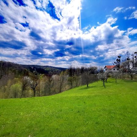 Agropensiunea Floare De Tei Carpinis (Baia Mare) Exterior foto