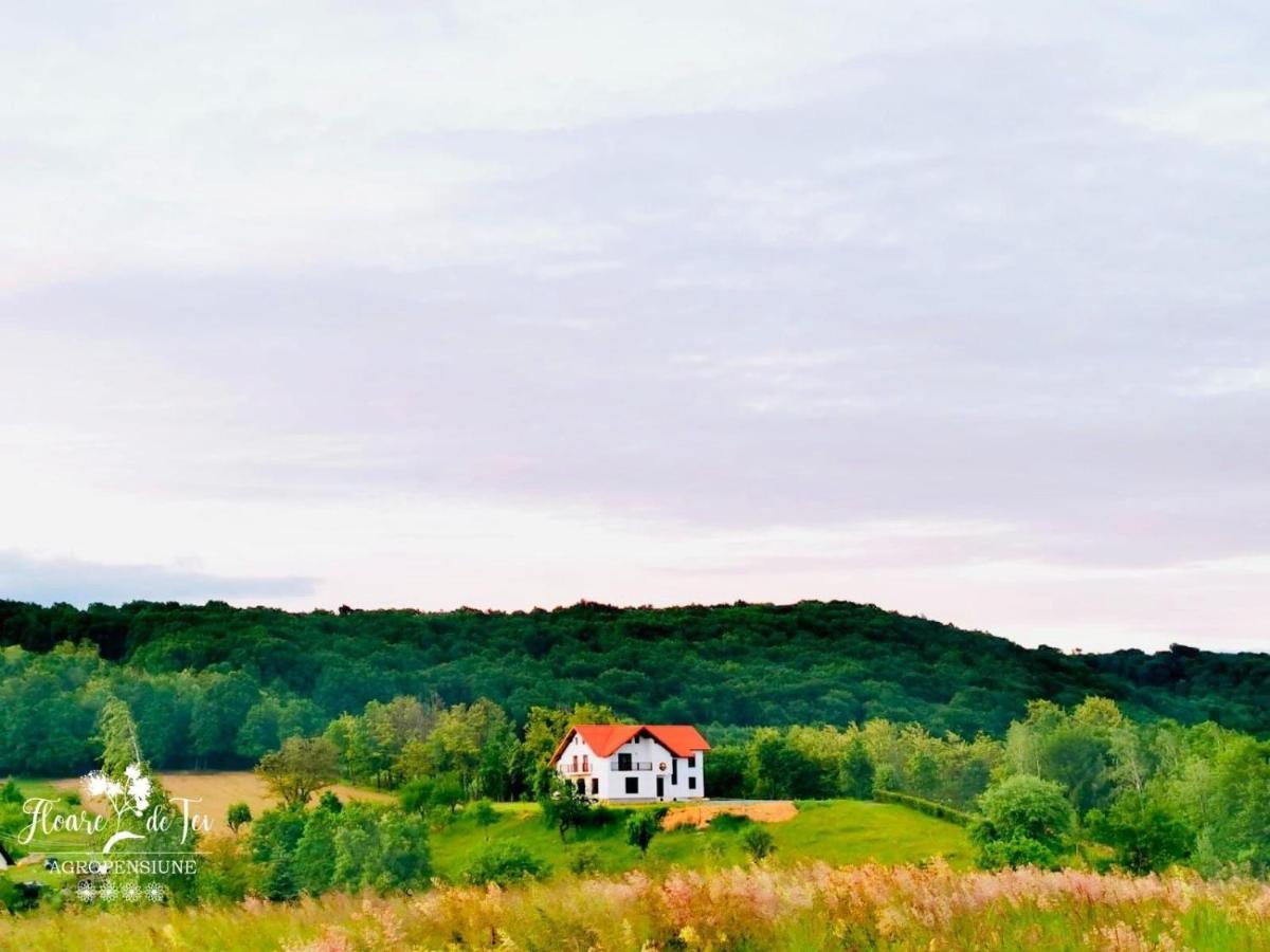 Agropensiunea Floare De Tei Carpinis (Baia Mare) Exterior foto
