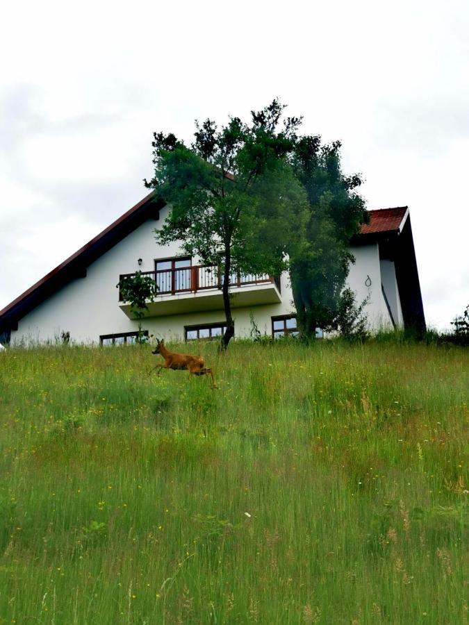Agropensiunea Floare De Tei Carpinis (Baia Mare) Exterior foto